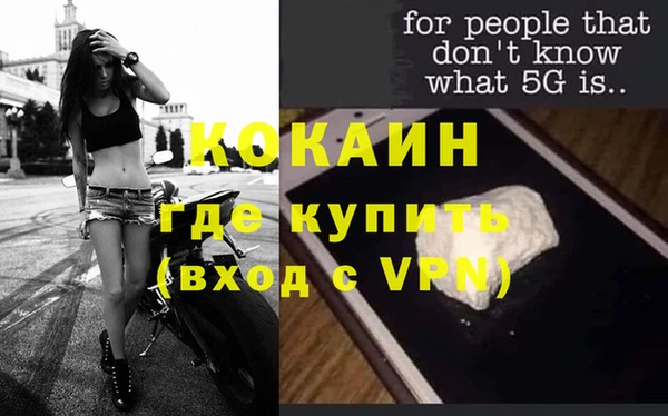 шишки Снежногорск